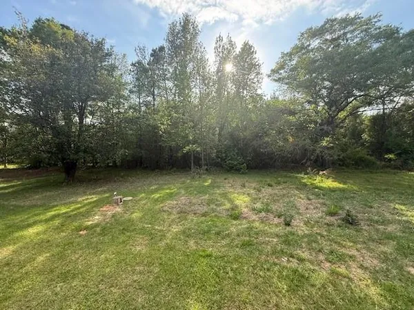 a view of a yard with a trees