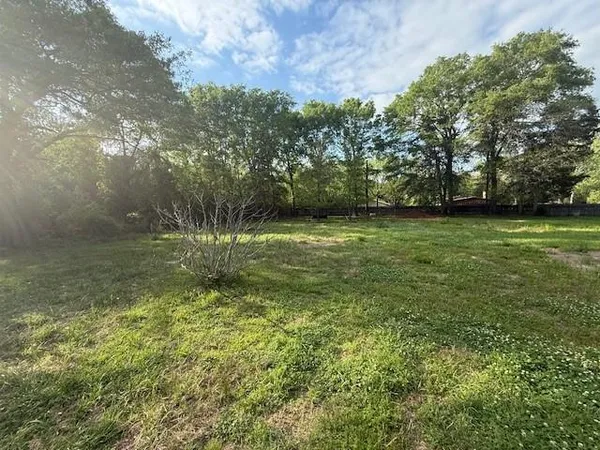 a view of a field with an trees