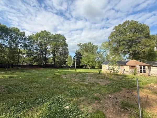 a view of yard with green space