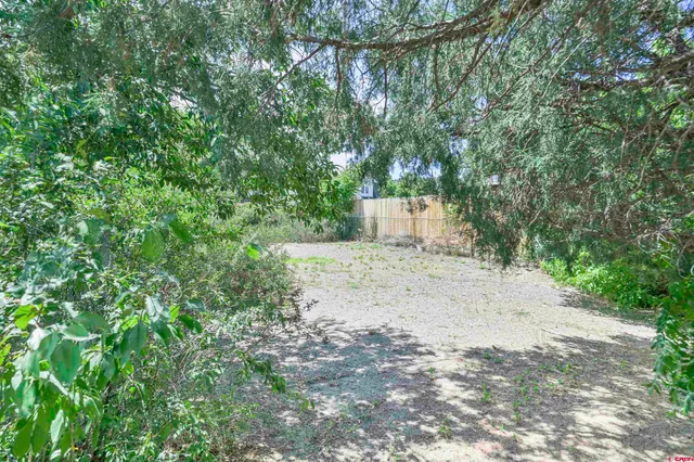 a view of a yard with plants and a trees