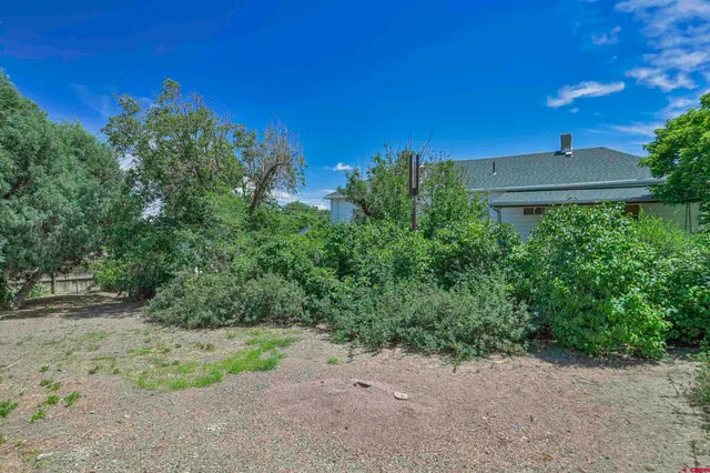 a view of a yard in front of a house