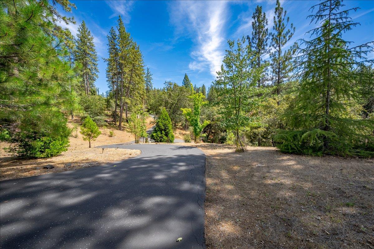 22600 Plumtree Road Colfax, CA 95713 - Photo 7 of 37