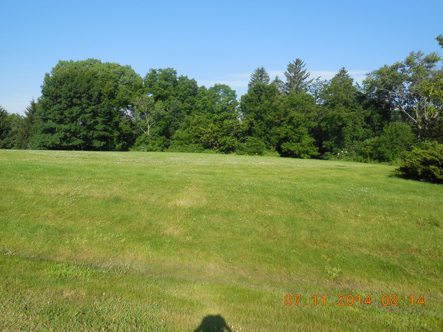 a view of field with trees in the background