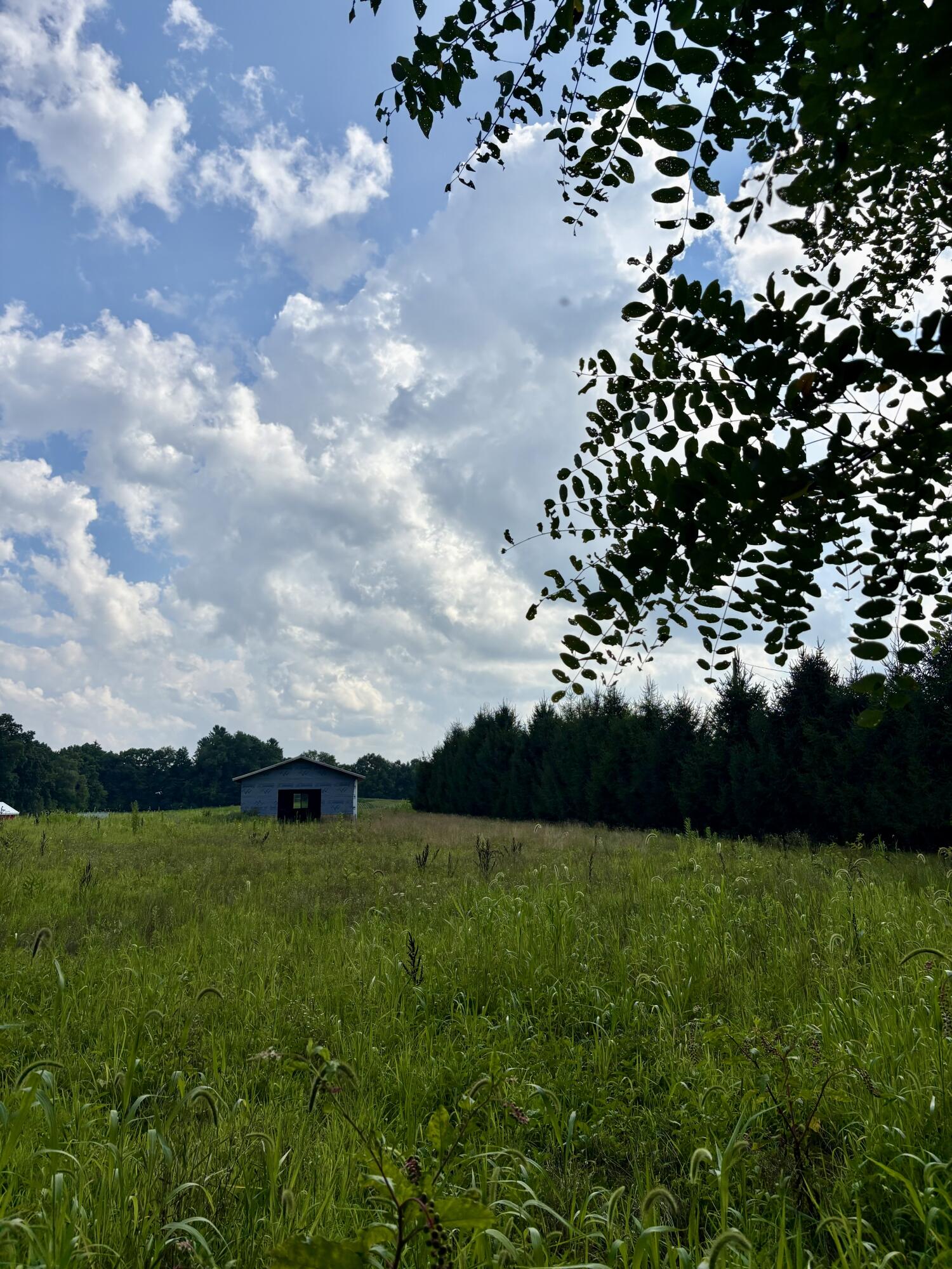 0 Springport Road Parma, MI 49269 - Photo 3 of 8 IMG_7685