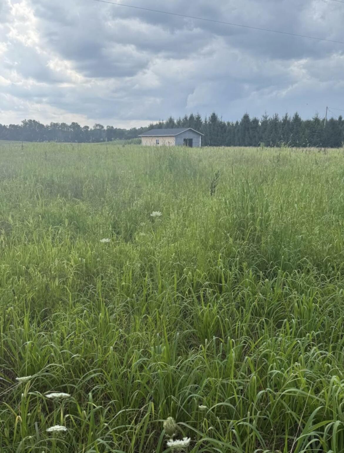 0 Springport Road Parma, MI 49269 - Photo 5 of 8 IMG_7694