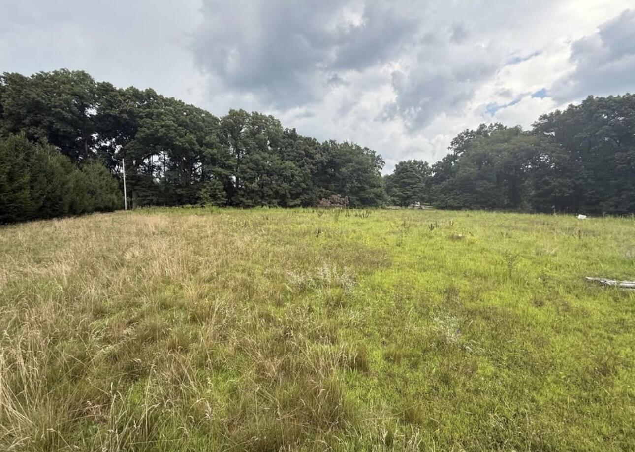 0 Springport Road Parma, MI 49269 - Photo 6 of 8 IMG_7695