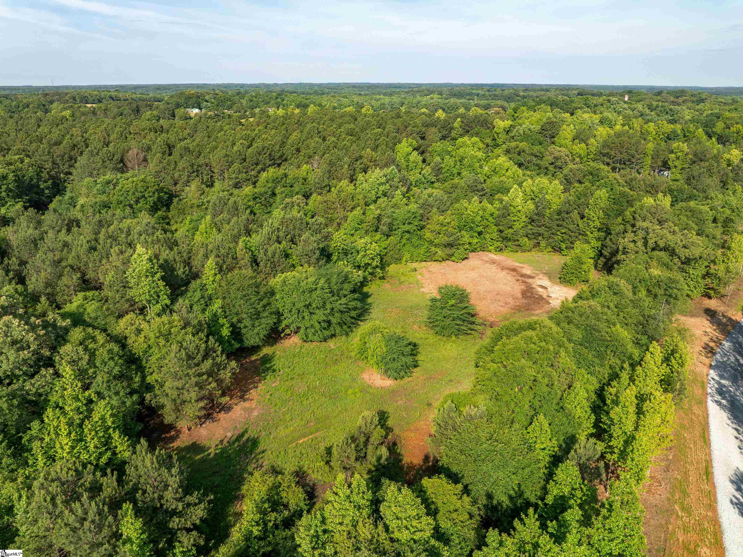 0 Terry Road, Unit LOT 8 Fountain Inn, SC 29644 - Photo 5 of 29 Gallery Image 5