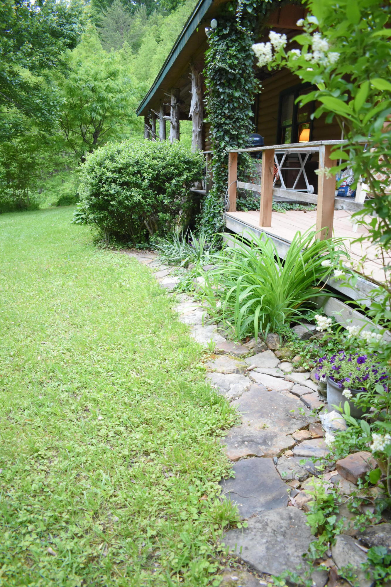 157 Deer Ridge Drive Ewing, VA 24248 - Photo 5 of 23 DSC_0357