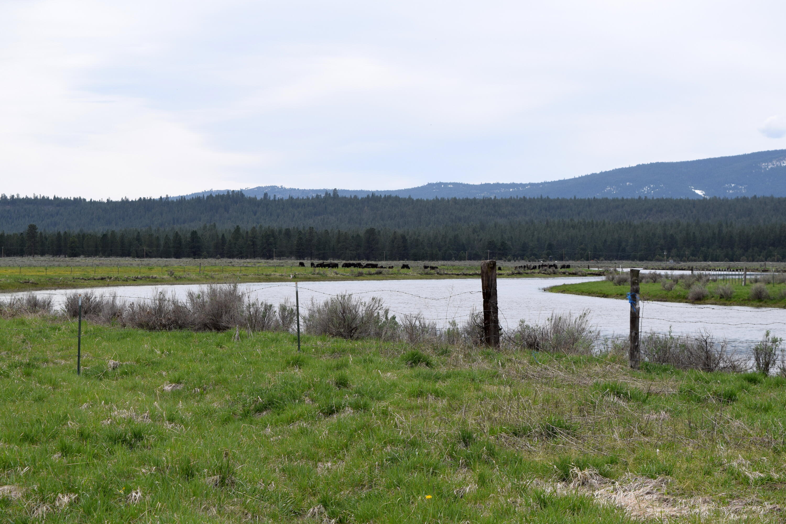 Skeen Ranch Road Chiloquin, OR 97624 - Photo 1 of 26 sprague river oregon four j ranch