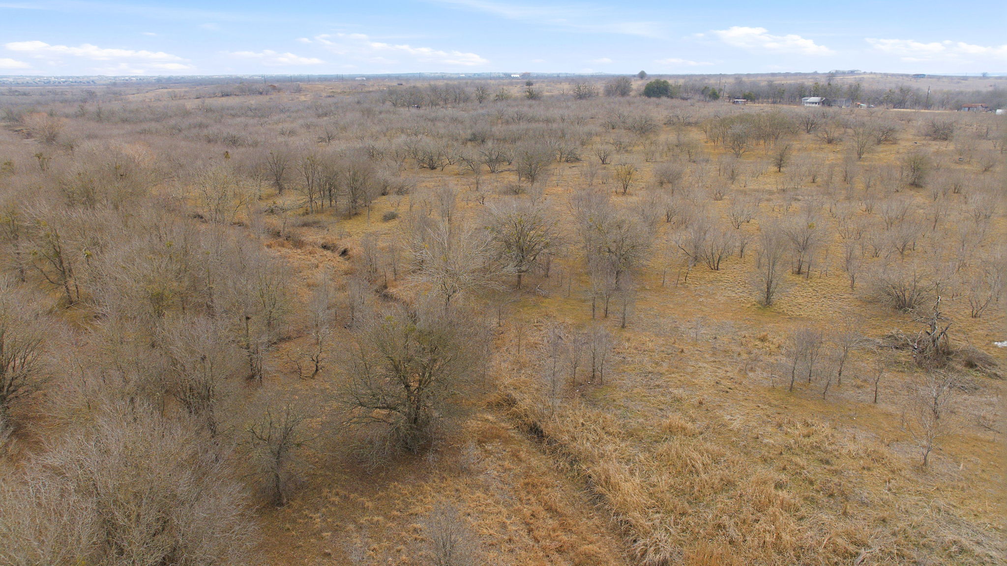 13802 Hokanson Road Del Valle, TX 78617 - Photo 26 of 36