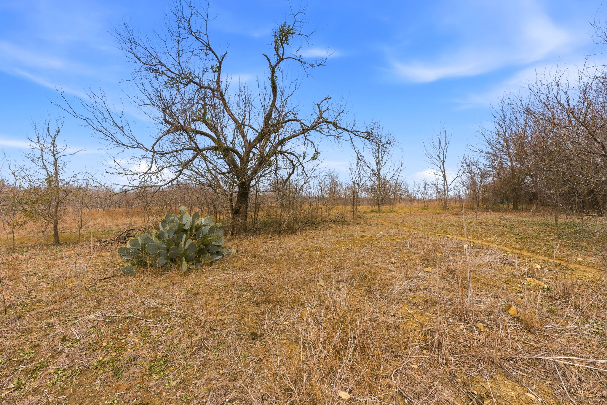 13802 Hokanson Road Del Valle, TX 78617 - Photo 33 of 36