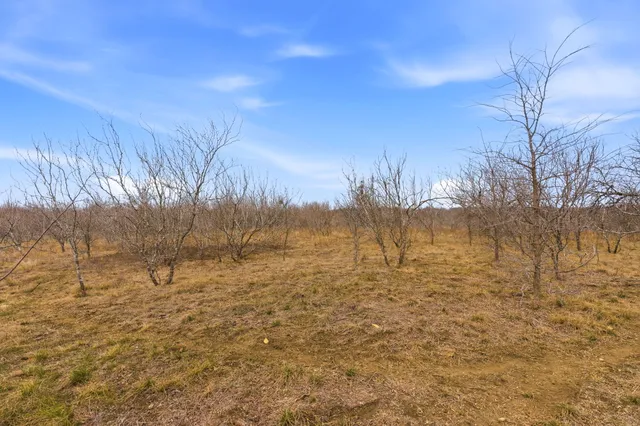 $1,400,000 | 13802 Hokanson Road, Del Valle, TX 78617