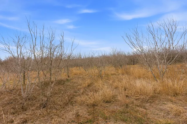 $1,400,000 | 13802 Hokanson Road, Del Valle, TX 78617