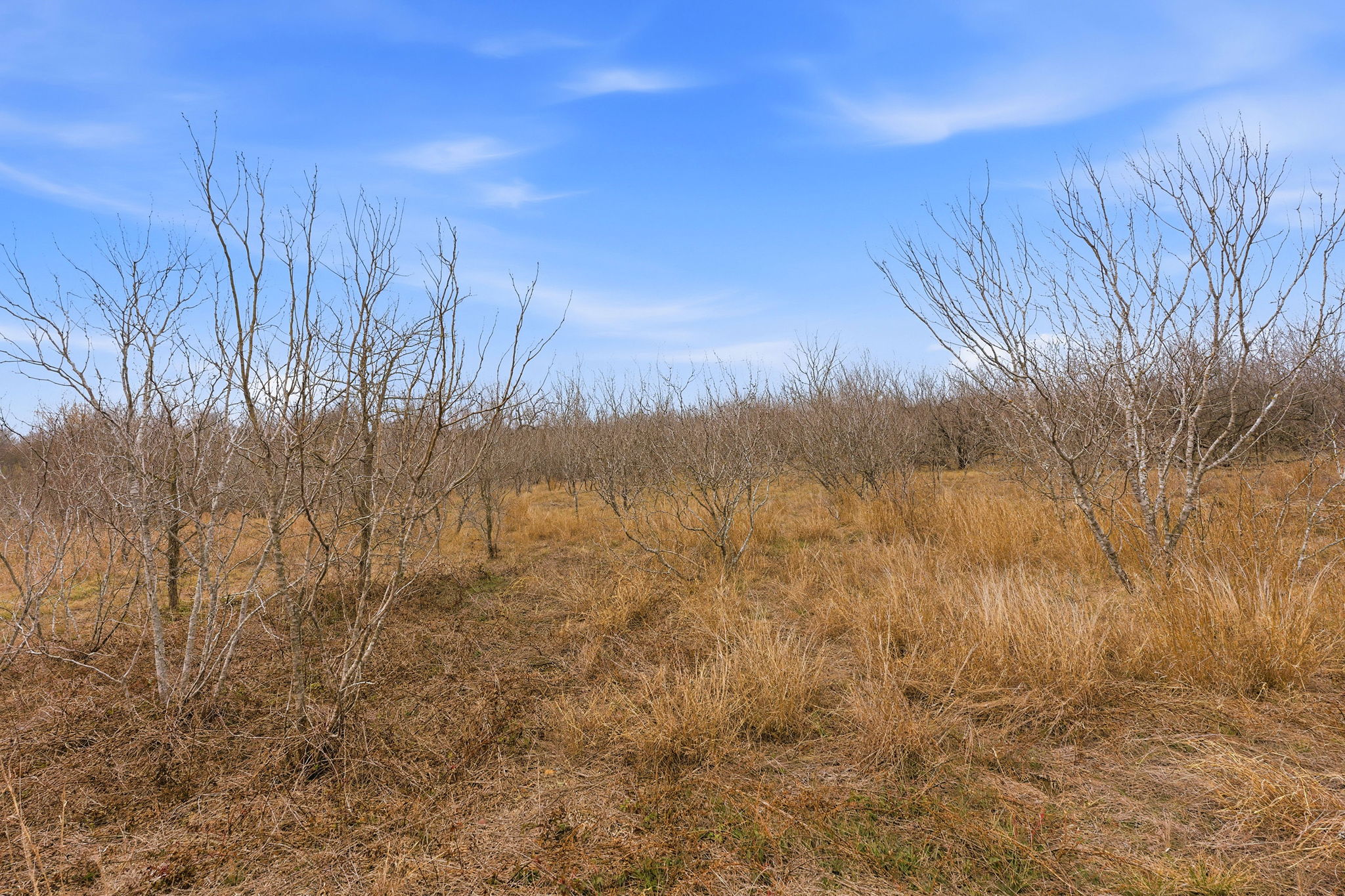 13802 Hokanson Road Del Valle, TX 78617 - Photo 35 of 36