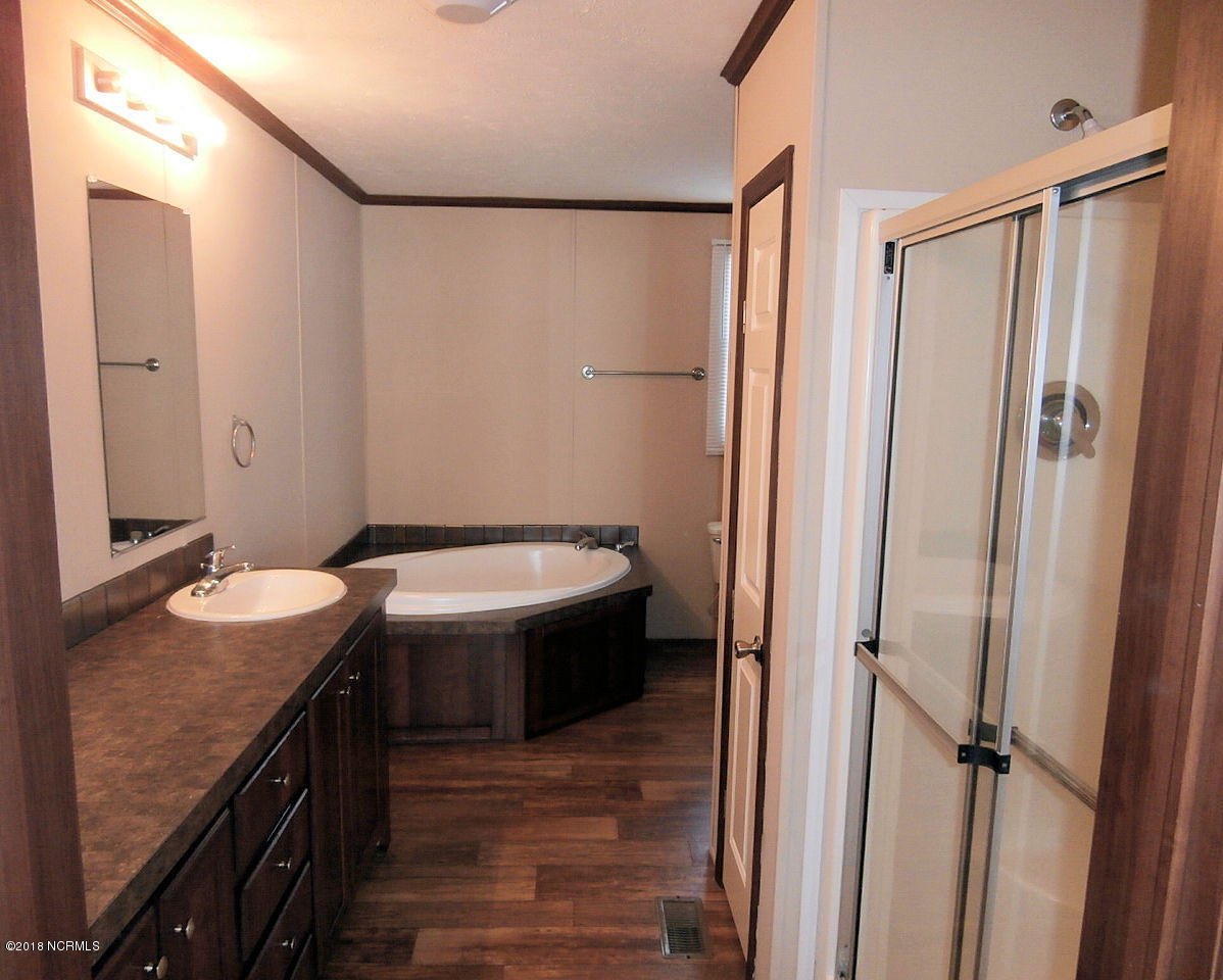 248 Peter Grant Road Snow Hill, NC 28580 - Photo 11 of 26 Master Bath view 1