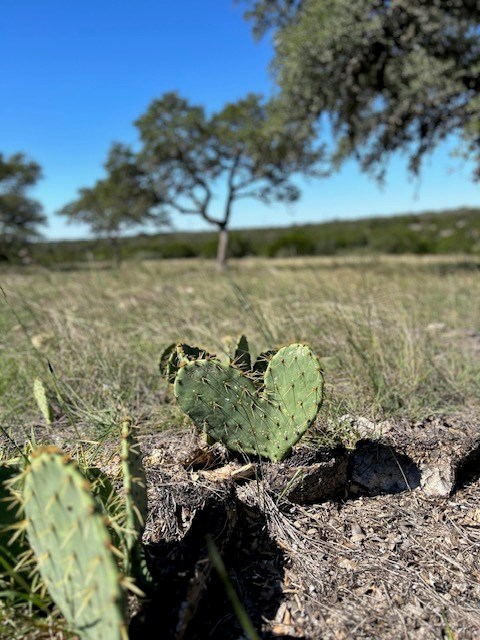 104 Northwest Fm 470 Bandera, TX 78003 - Photo 4 of 5