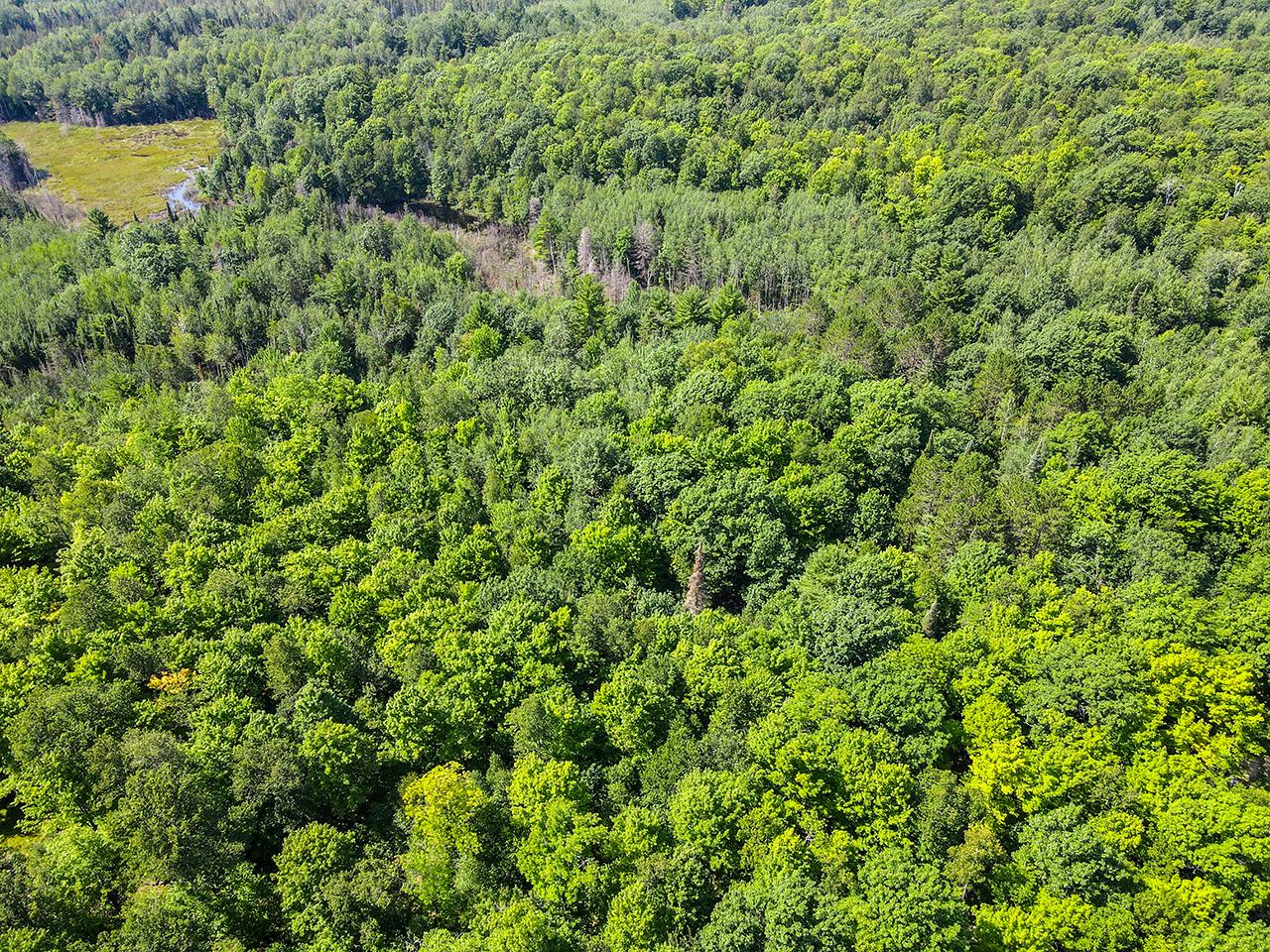 On Pine Lake Road Gleason, WI 54435 - Photo 14 of 15 Gallery Image 14