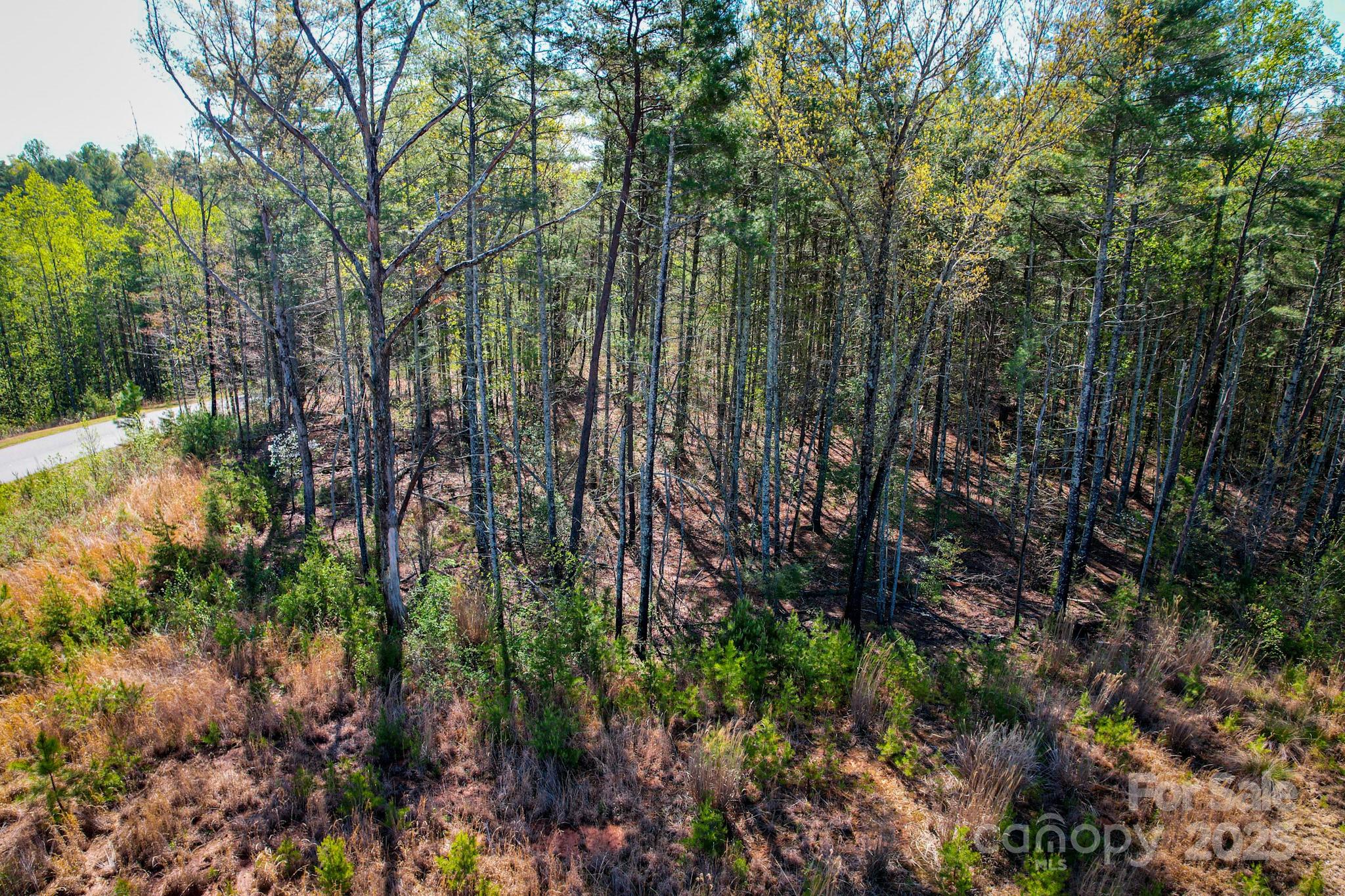 2033 Starlight Lane, Unit 111 Morganton, NC 28655 - Photo 12 of 16