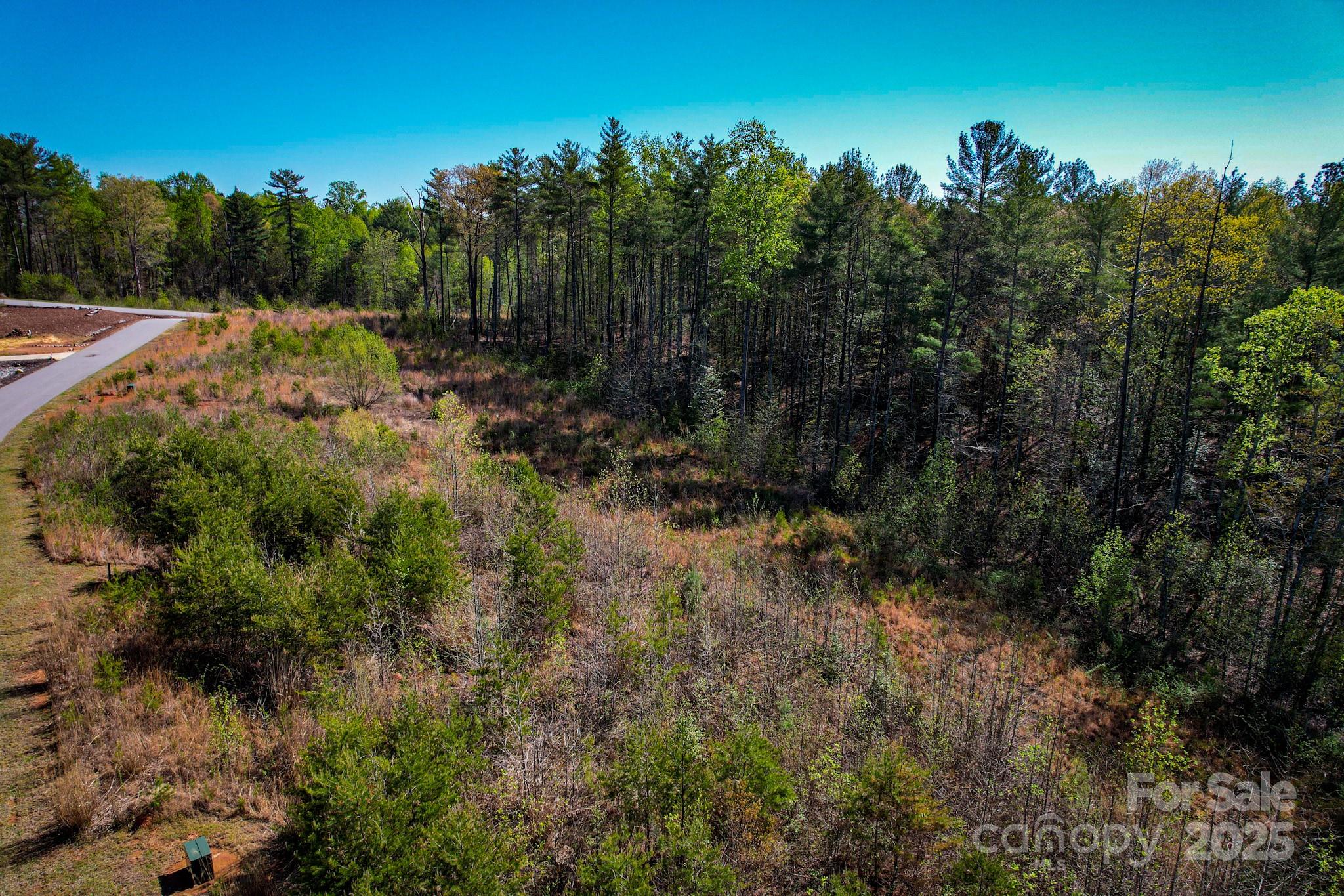 2033 Starlight Lane, Unit 111 Morganton, NC 28655 - Photo 8 of 16