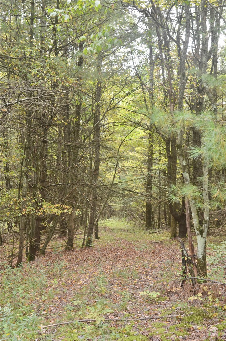 330 Tallow Hill Road Spencer, NY 14883 - Photo 15 of 24 Gallery Image 15