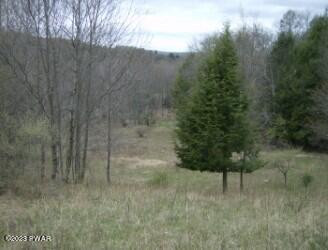 Creek Road Greentown, PA 18426 - Photo 15 of 16