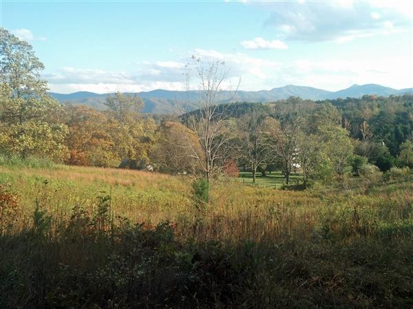 890 Buffalo Road Buchanan, VA 24066 - Photo 20 of 28 890buffaloroad_42_46055_S