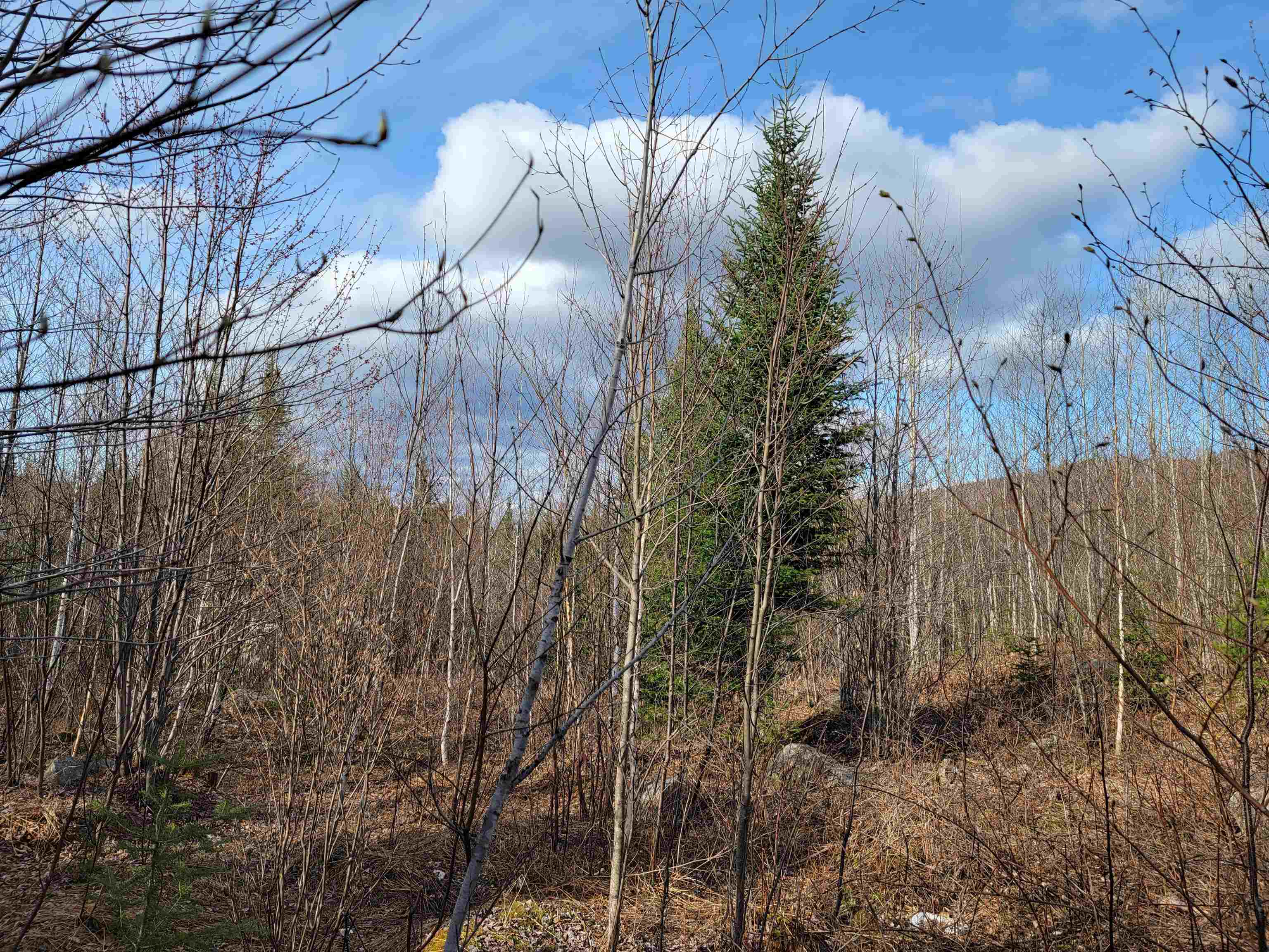 157 Hazen Road Bethlehem, NH 03574 - Photo 1 of 36