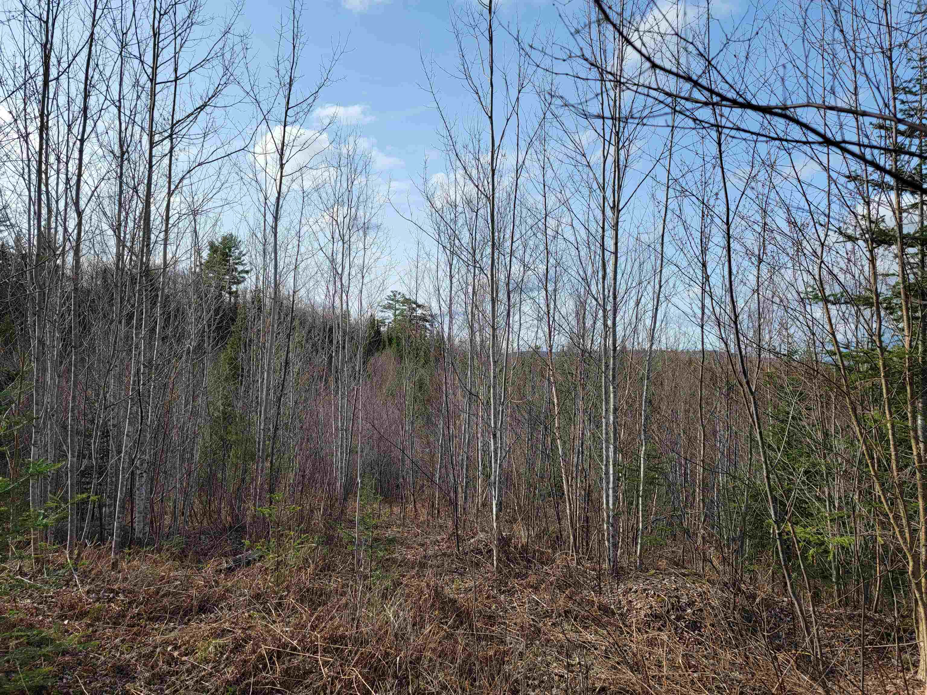 157 Hazen Road Bethlehem, NH 03574 - Photo 11 of 36