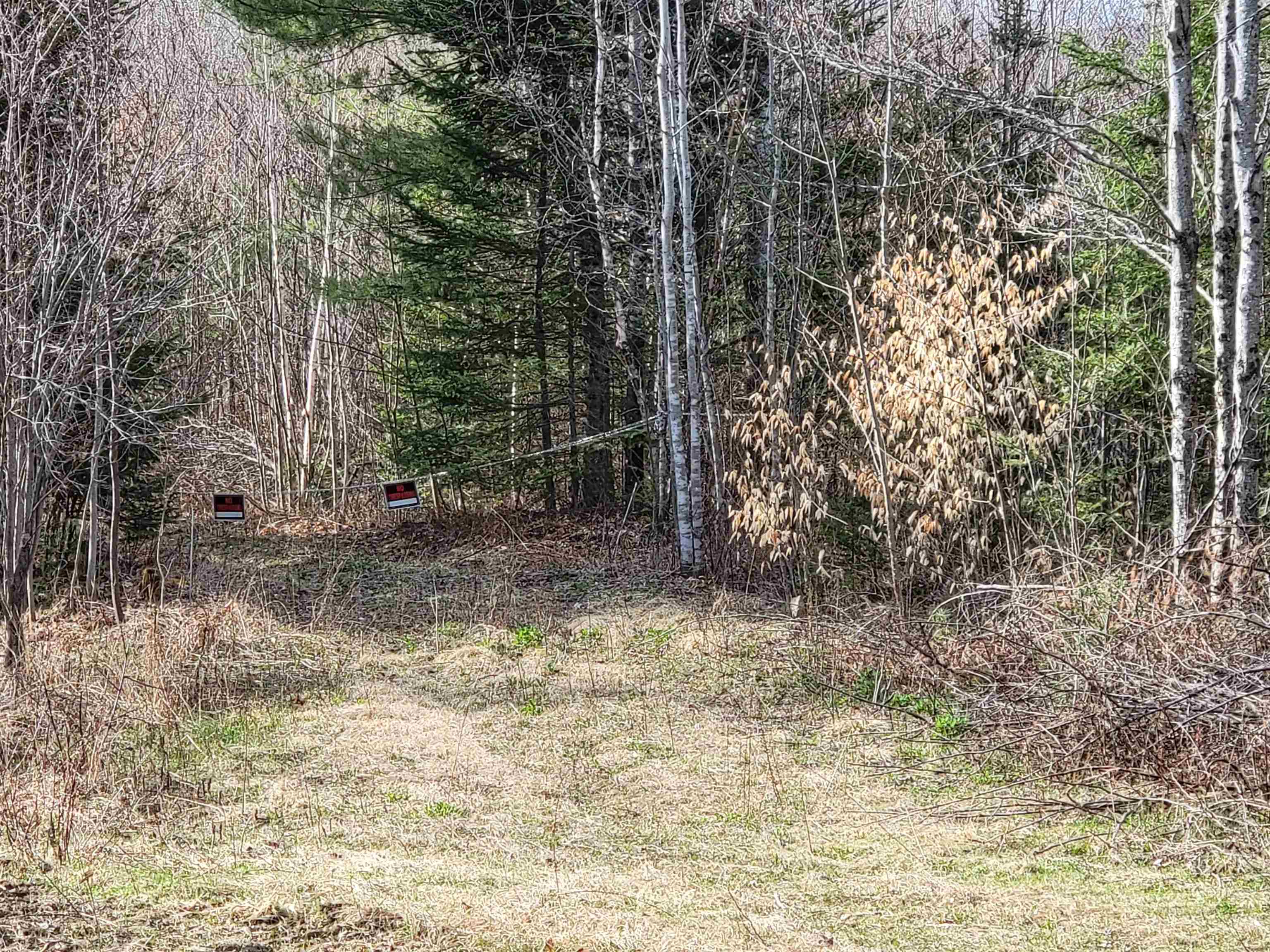 157 Hazen Road Bethlehem, NH 03574 - Photo 14 of 36