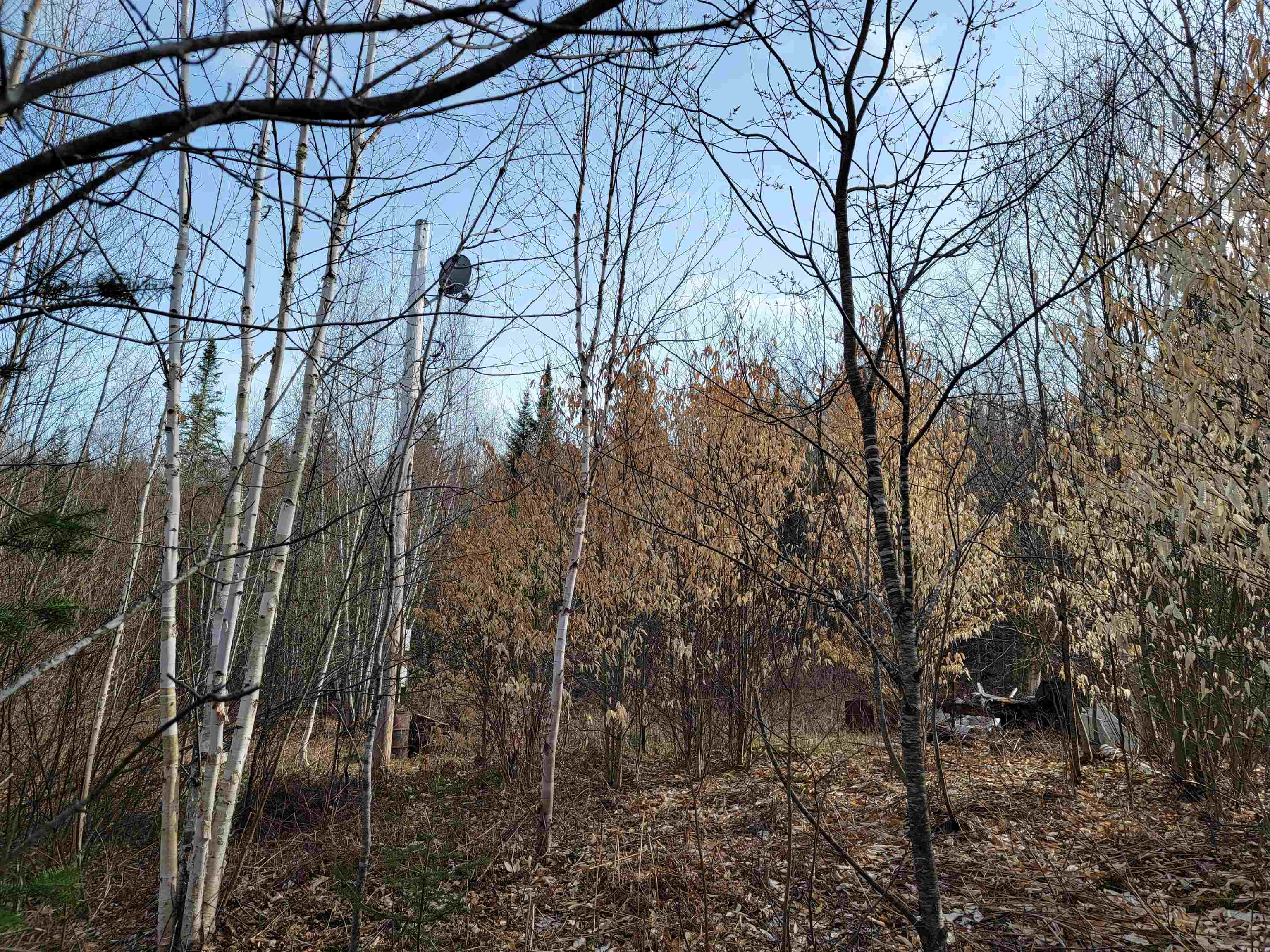157 Hazen Road Bethlehem, NH 03574 - Photo 15 of 36