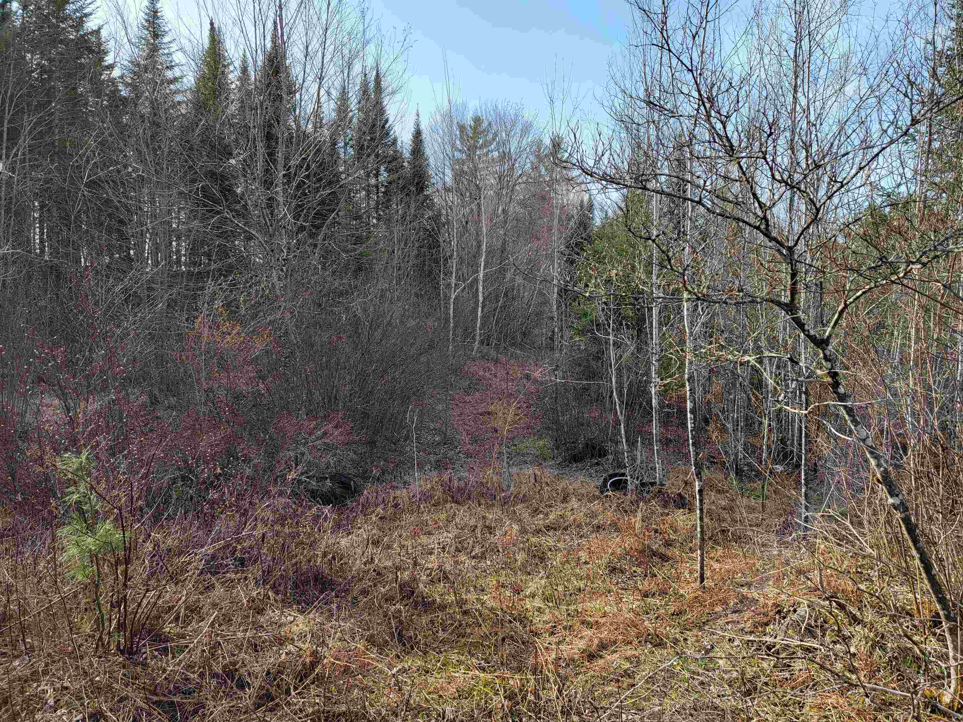 157 Hazen Road Bethlehem, NH 03574 - Photo 2 of 36
