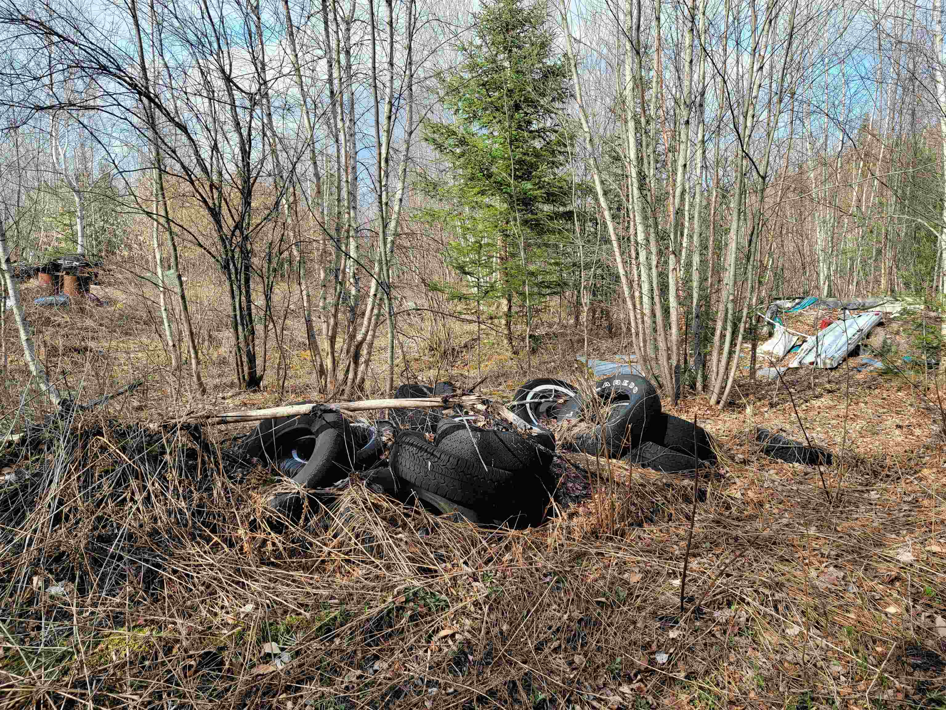 157 Hazen Road Bethlehem, NH 03574 - Photo 24 of 36