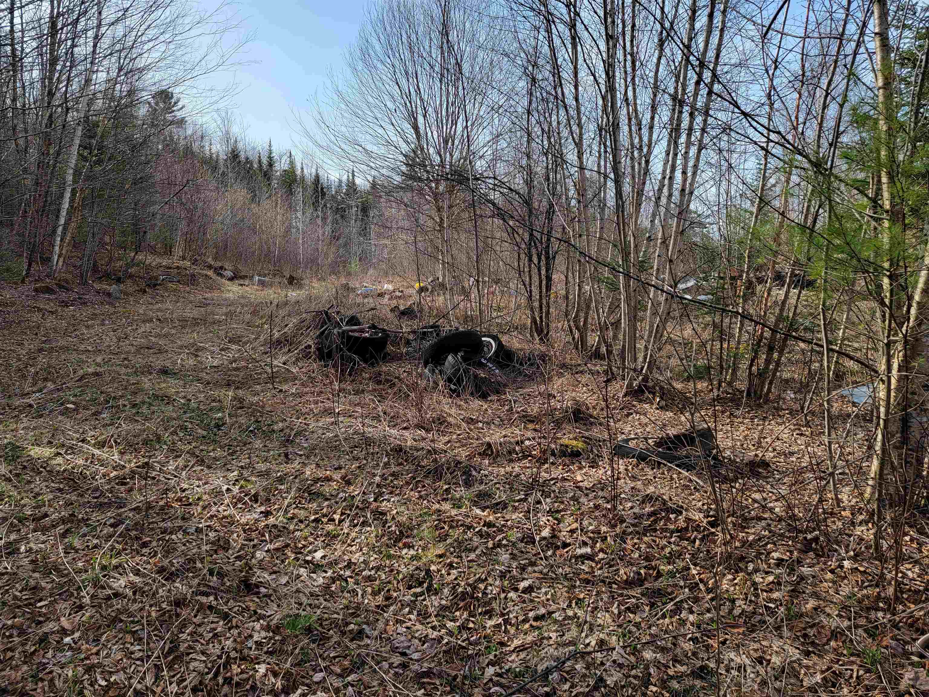 157 Hazen Road Bethlehem, NH 03574 - Photo 3 of 36