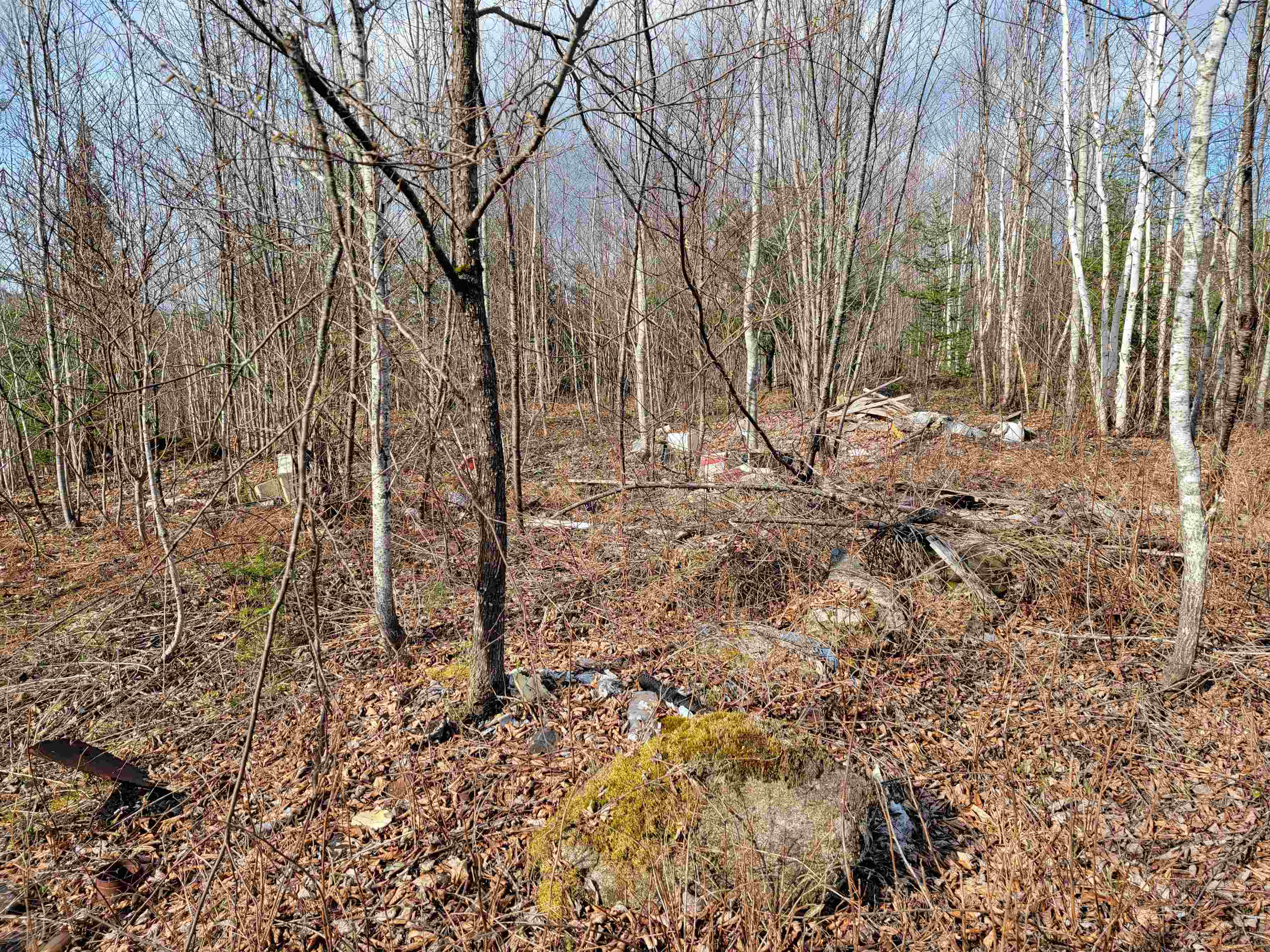 157 Hazen Road Bethlehem, NH 03574 - Photo 32 of 36