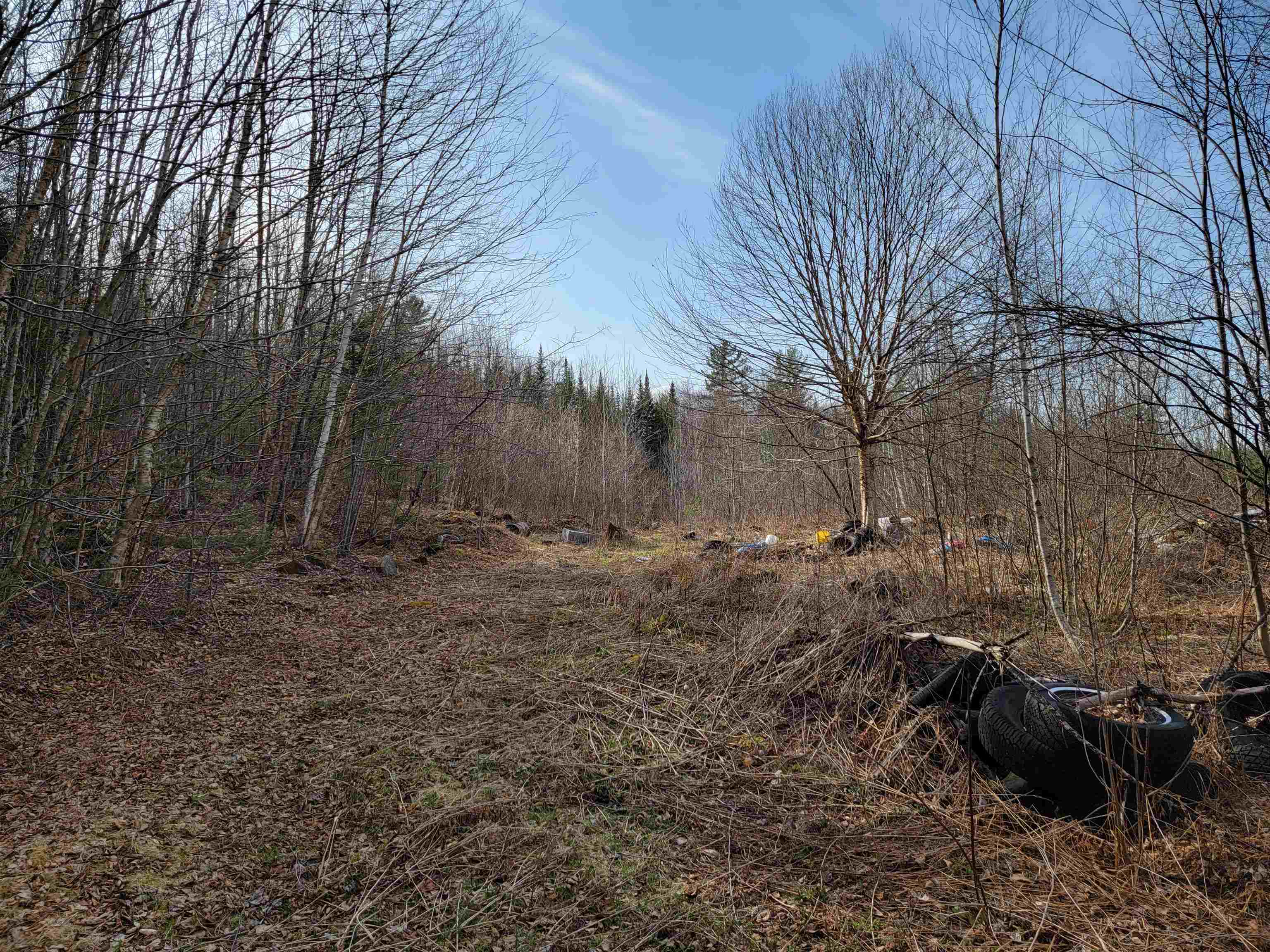 157 Hazen Road Bethlehem, NH 03574 - Photo 5 of 36