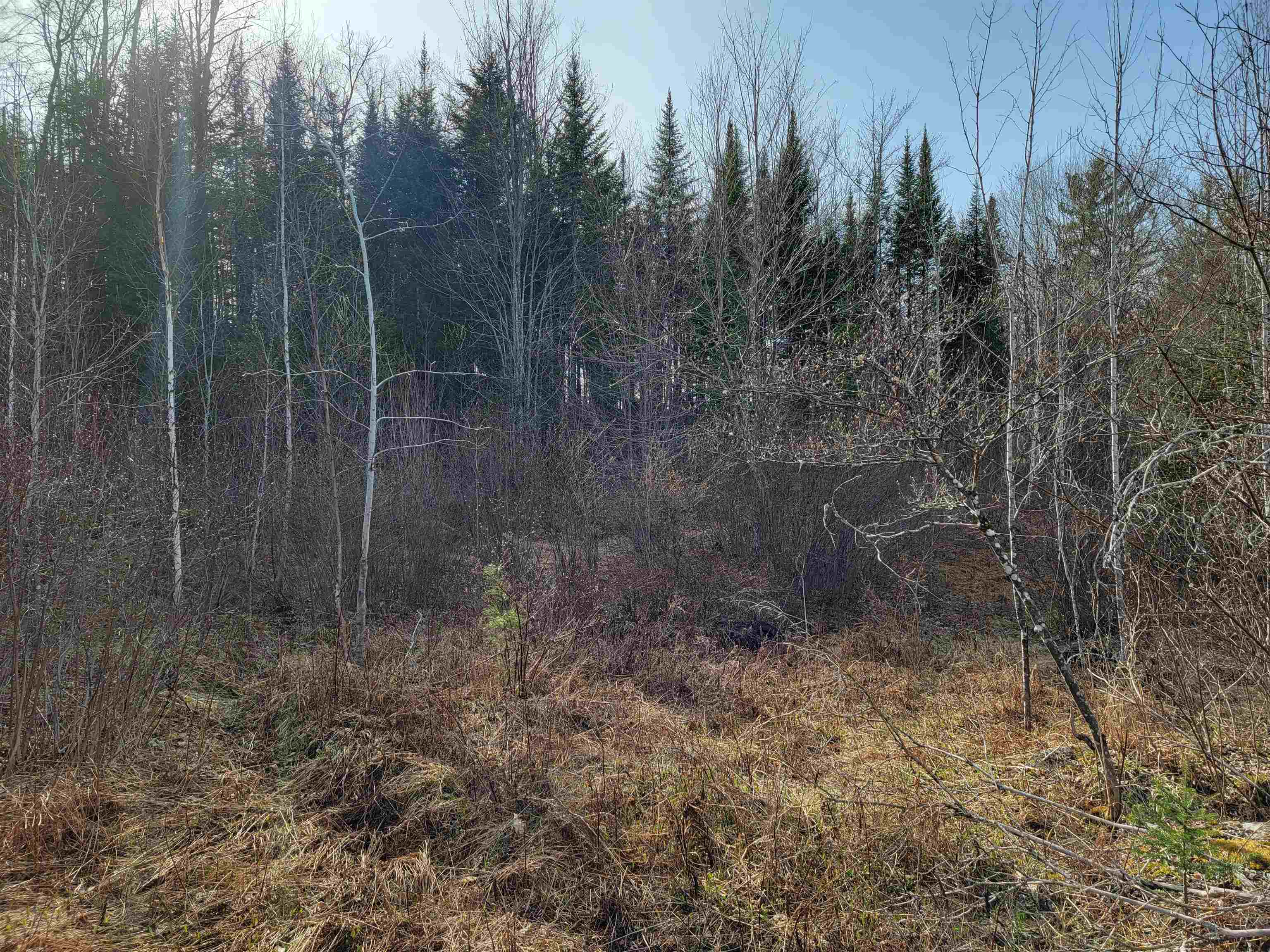 157 Hazen Road Bethlehem, NH 03574 - Photo 8 of 36