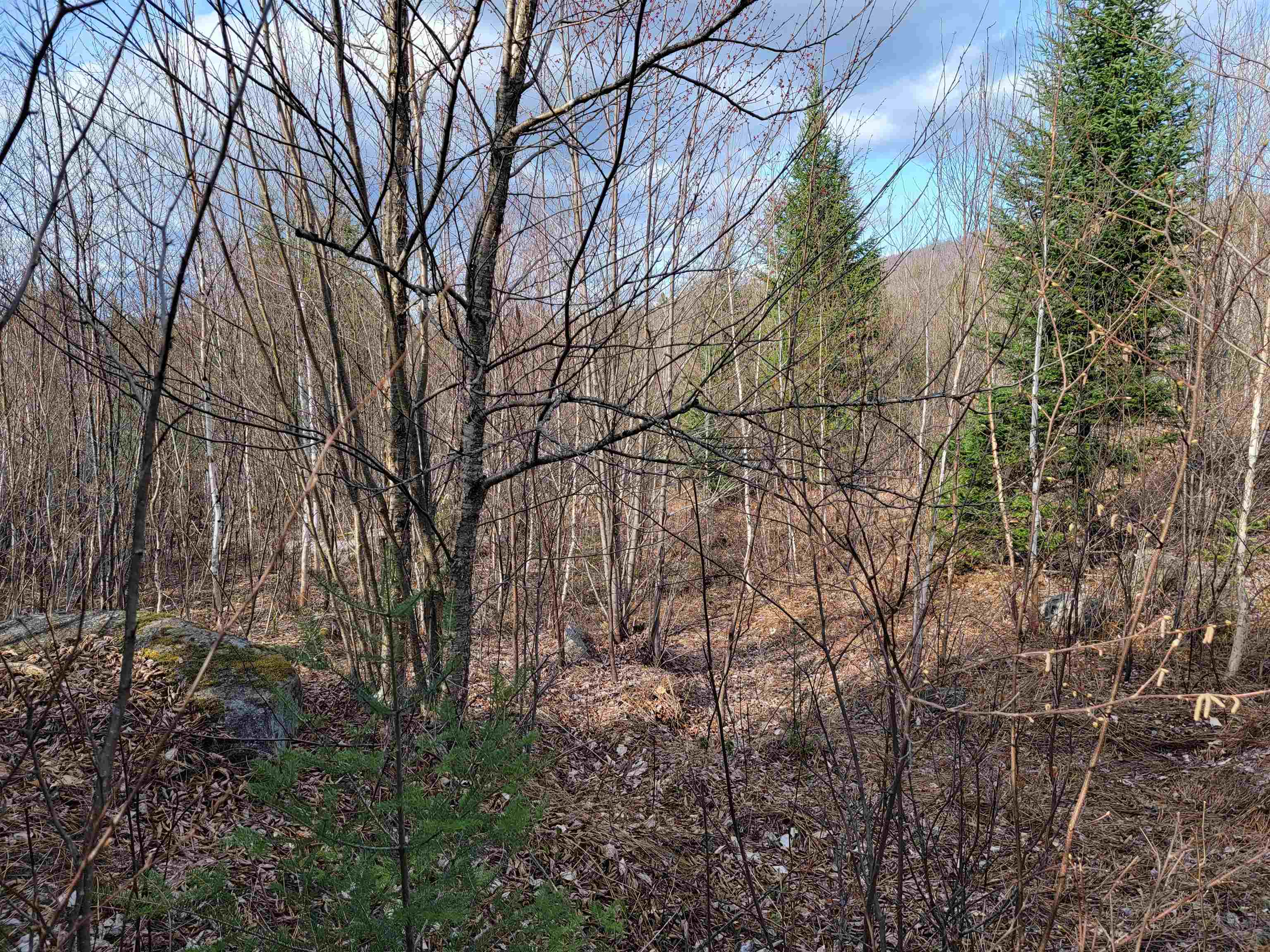 157 Hazen Road Bethlehem, NH 03574 - Photo 10 of 36