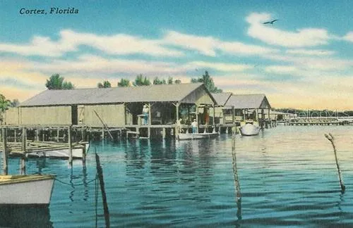 a view of ocean view