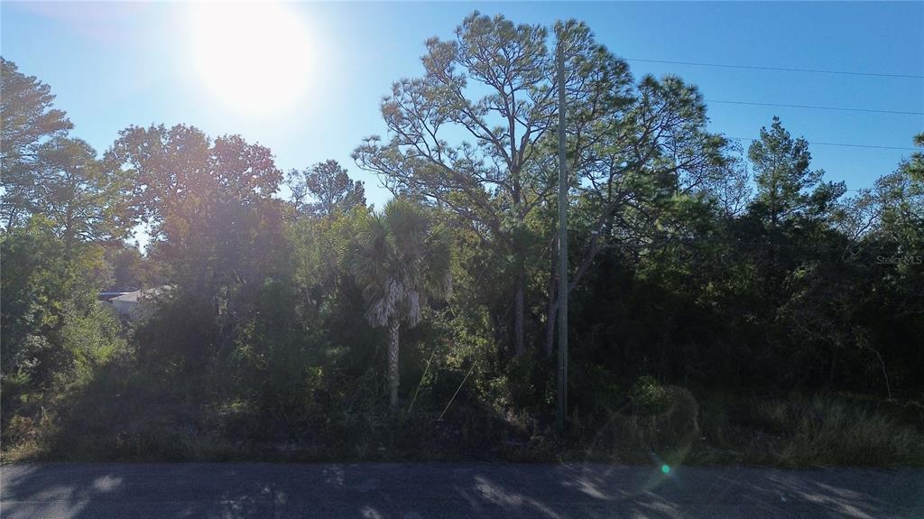 3560 Diagonal Lane Spring Hill, FL 34606 - Photo 10 of 12 Gallery Image 10