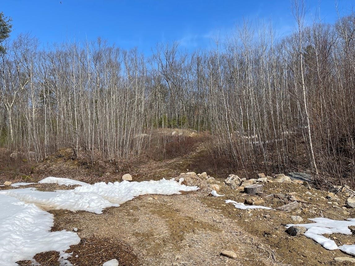233 Goffstown Back Road Goffstown, NH 03045 - Photo 8 of 12