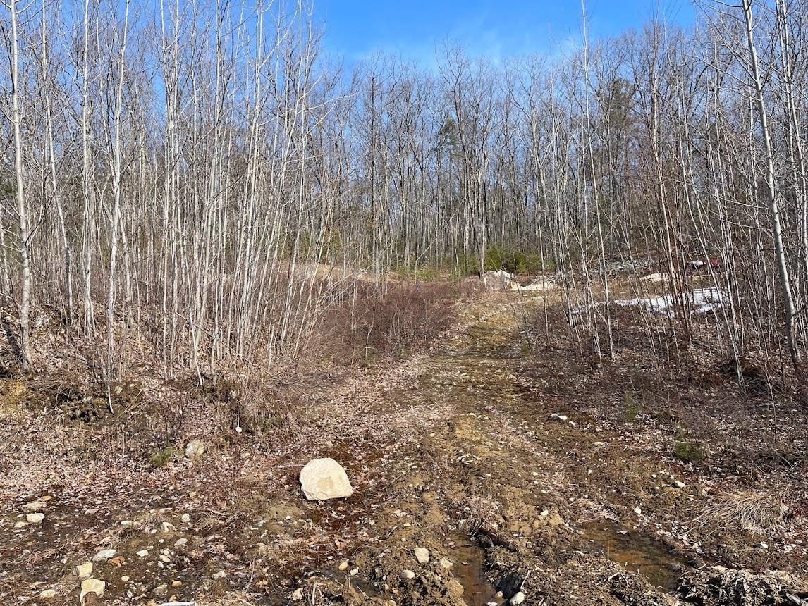 233 Goffstown Back Road Goffstown, NH 03045 - Photo 10 of 12