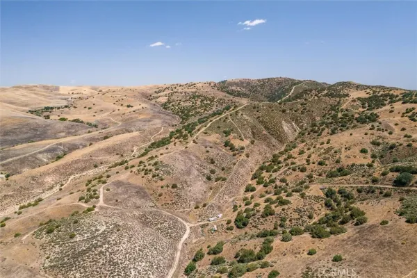 a view of a forest with a forest