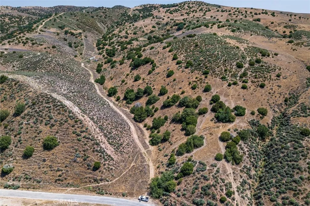 0 Gillis Cyn Road Shandon, CA 93461 - Photo 32 of 53 a view of a forest with a forest