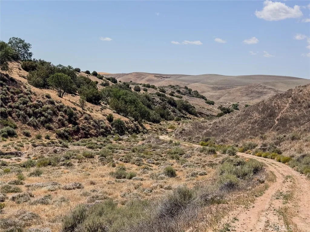 0 Gillis Cyn Road Shandon, CA 93461 - Photo 10 of 53 a view of a mountain range with trees in the background