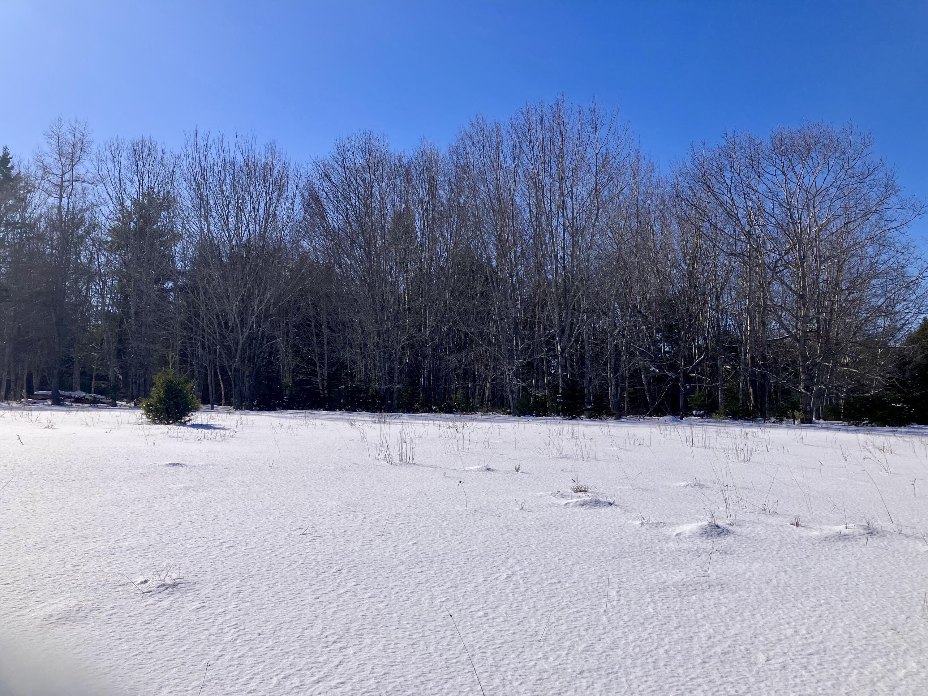 0 Russell Farm Road Bar Harbor, ME 04609 - Photo 2 of 7 IMG_6139