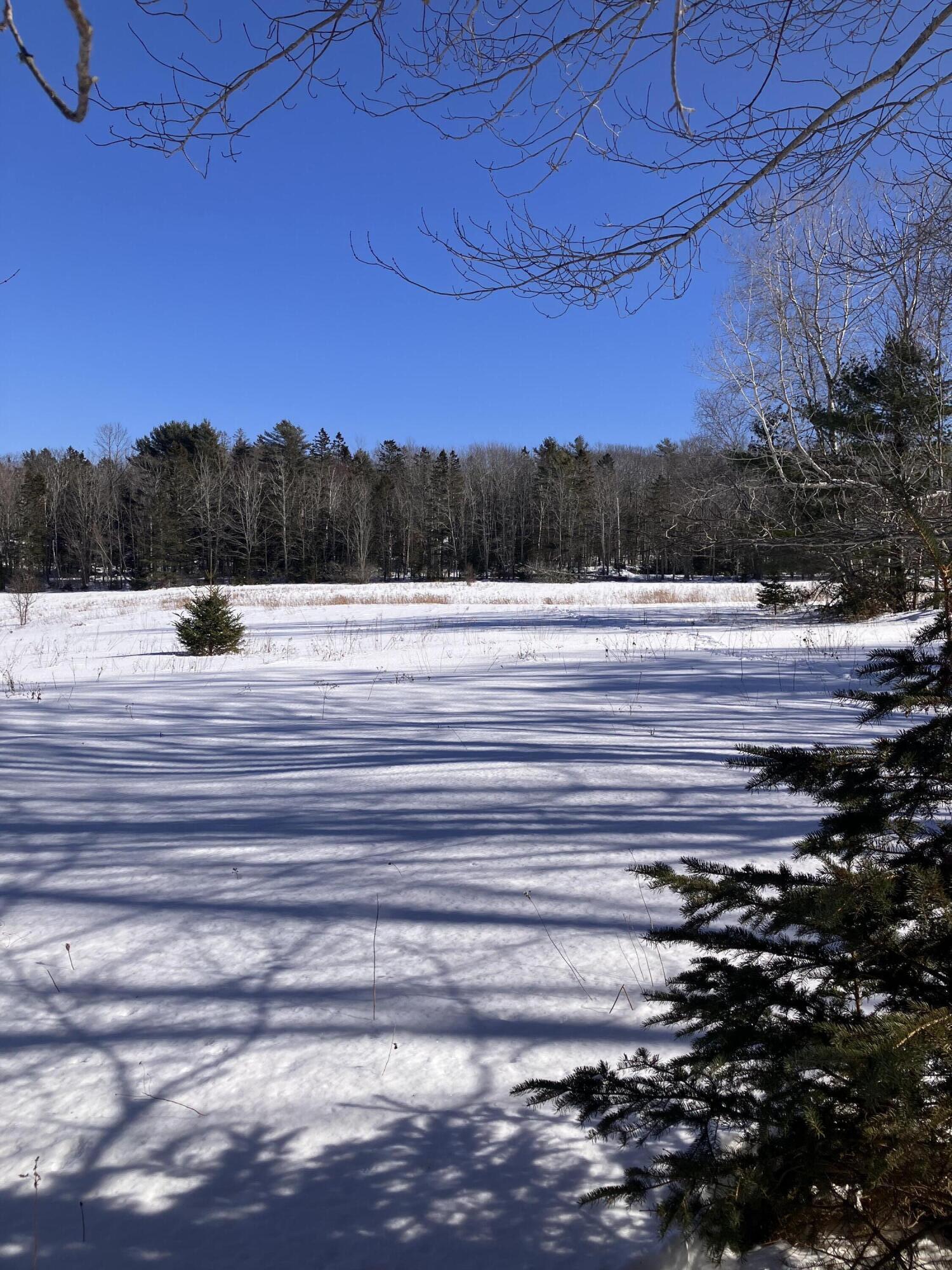 0 Russell Farm Road Bar Harbor, ME 04609 - Photo 3 of 7 IMG_6128