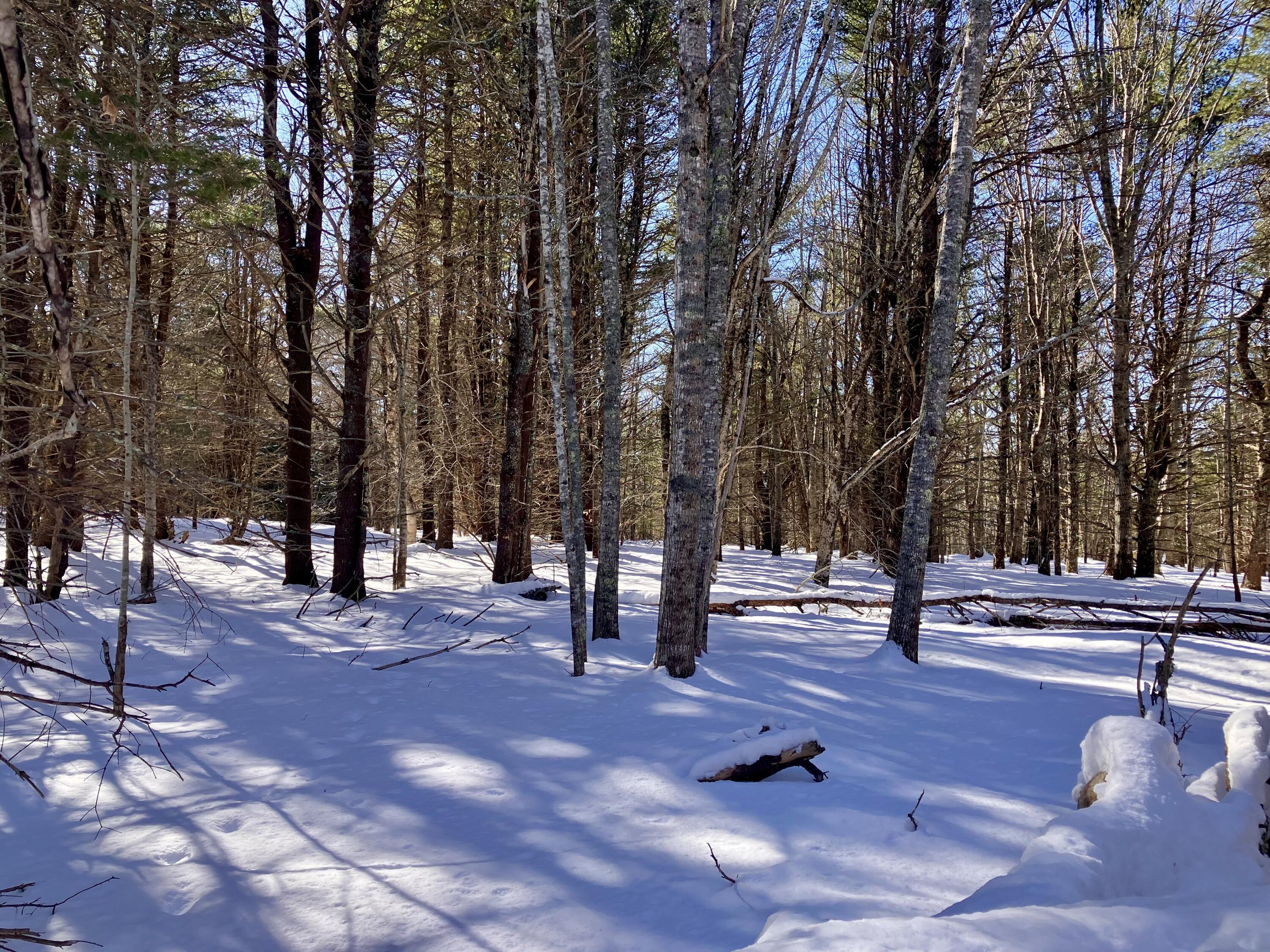0 Russell Farm Road Bar Harbor, ME 04609 - Photo 5 of 7 IMG_6134