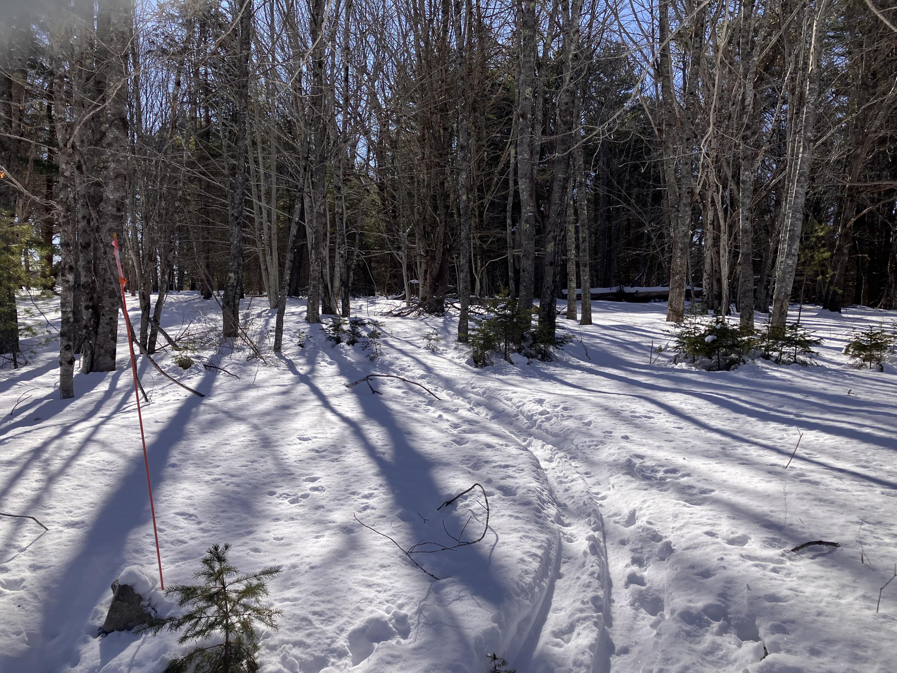 0 Russell Farm Road Bar Harbor, ME 04609 - Photo 7 of 7 IMG_6130