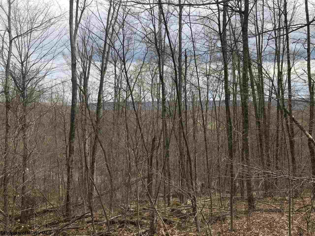 129 Northpoint Way Davis, WV 26260 - Photo 5 of 6 Gallery Image 5