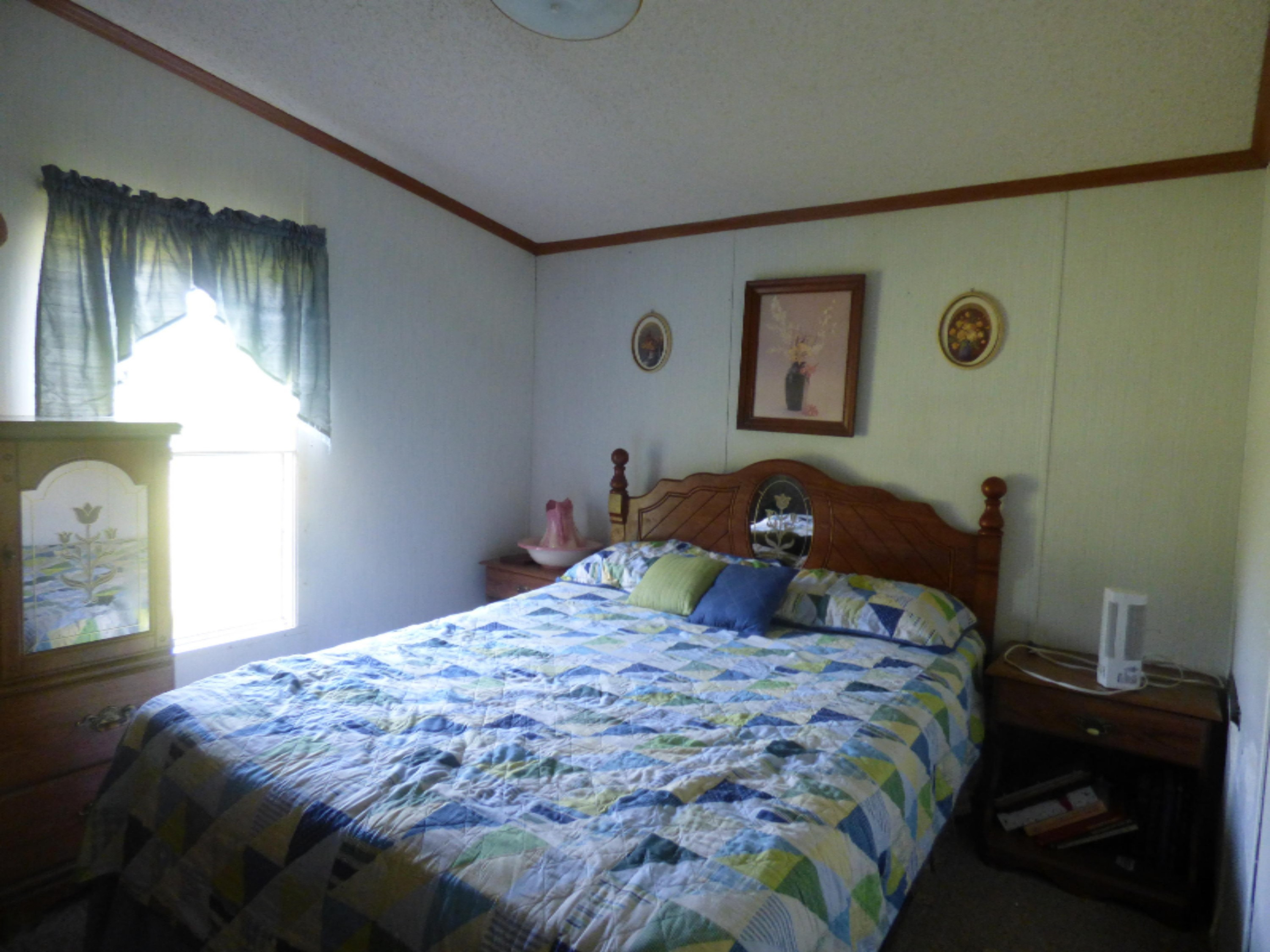 67155 Tharp Lake Road Cassopolis, MI 49031 - Photo 10 of 22 P1030578
